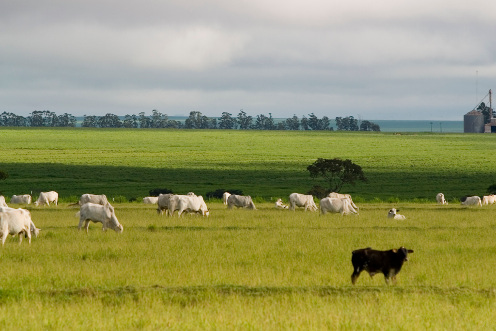 ubezpieczenie rolne szczekociny